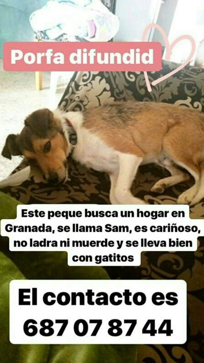 Otaku world (@otakuworld70) on Twitter photo 