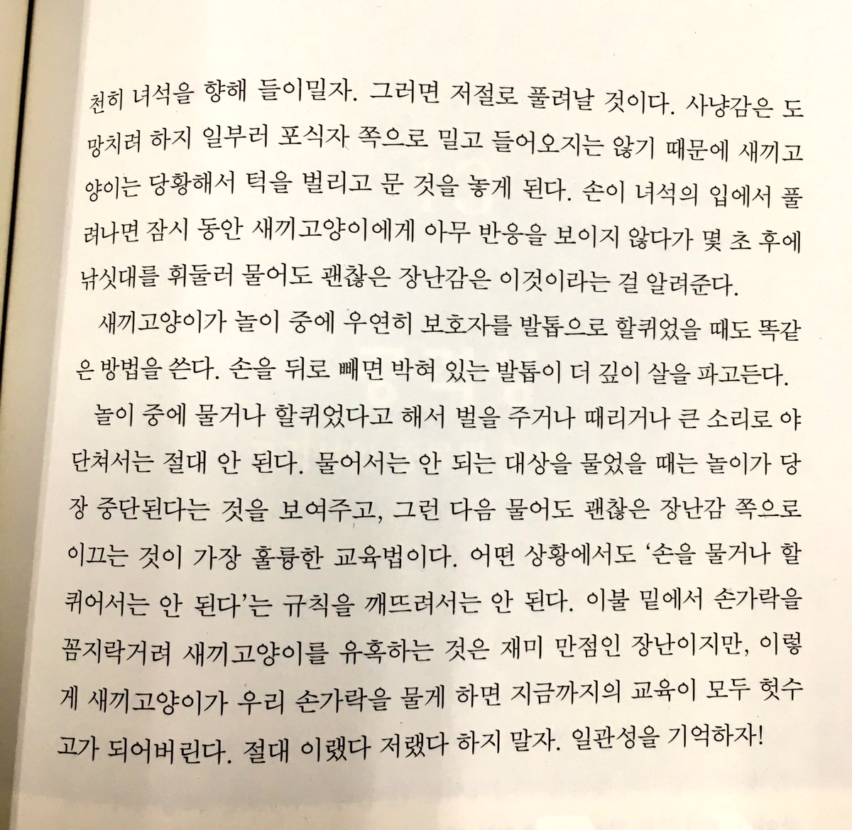 아깽이나 고먐미 깨무는 행동 수정 방법!

요즘 제가 읽고 있는 책에서 나온 조언 참고하세용~