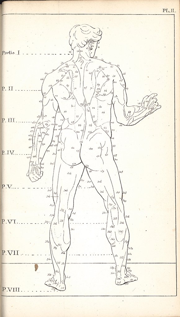 ジェルディによる体表解剖学の教科書。体表図に381箇所の数字が書き込まれている。それぞれ解剖学的構造の解説がある。芸術家が381箇所も把握していたら見応えのある人体像が作れそう。#美術解剖学 