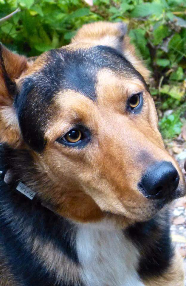 #FindZakHuntaway tweet media