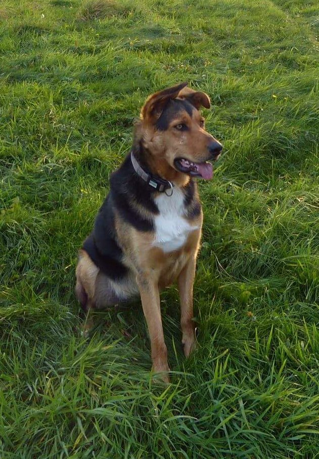 #FindZakHuntaway tweet media