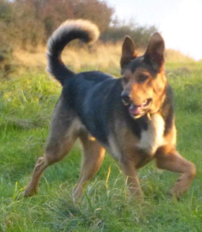 #FindZakHuntaway tweet media