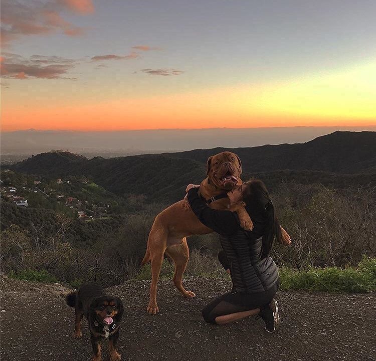 Buenos días y esas cosas.