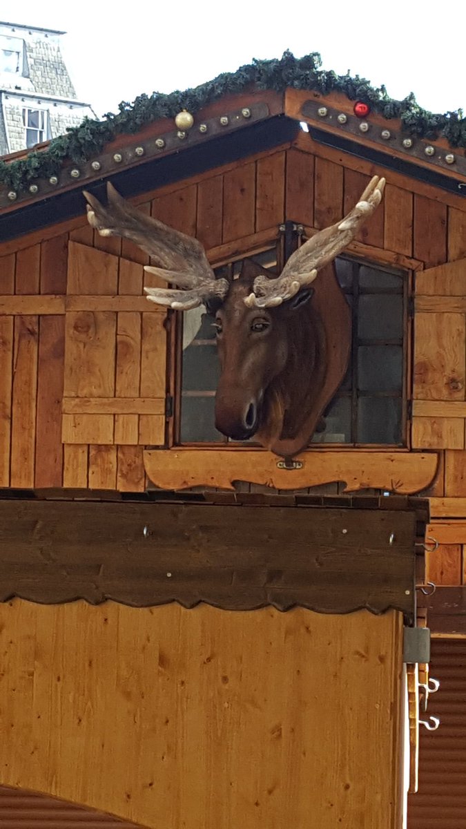 Chris Moose tweet media