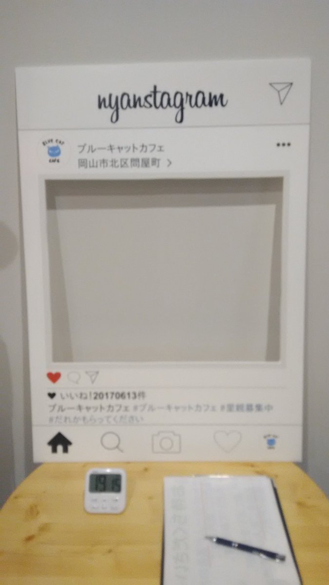 実はこんなもの始めました😂😂
インスタグラム風看板です✨笑
これを掲げて自撮りするもよし、猫をメインに撮るもよしのアイテムとなっておりますー😊💕
モデルとしてなつちゃんと猫係のMさんに使ってもらいました！
カメラ担当の腕が悪くては映りは最悪ですがこんな風に使ってもらえたら嬉しいです🐾