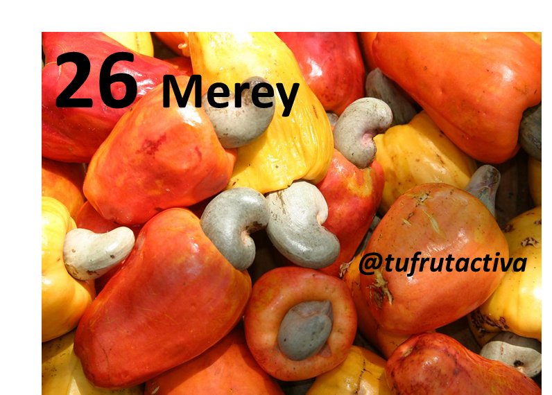 tufrutactiva's tweet photo. TU FRUTA ACTIVA @tufrutactiva
Sorteo 16-11-2017  11 PM
Pleno : 26 MEREY https://t.co/oJOqEiM1a5