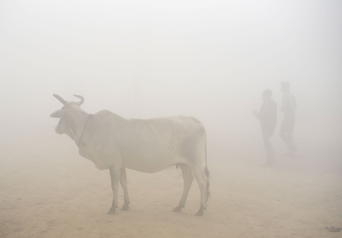 Toxic sky of India Toxic sky of India
