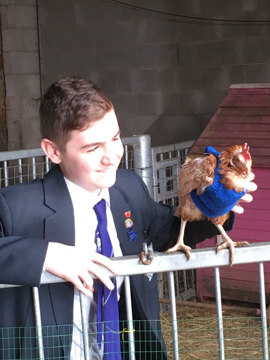 RVHS Farm tweet media