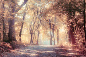 asfenichel's tweet photo. Hot off the press: Romance Writers Weekly ~ Flinging through Fall https://t.co/SGwxbJD7jX #Happen #Watch #Lovechatwrite https://t.co/TknP2nKEcx
