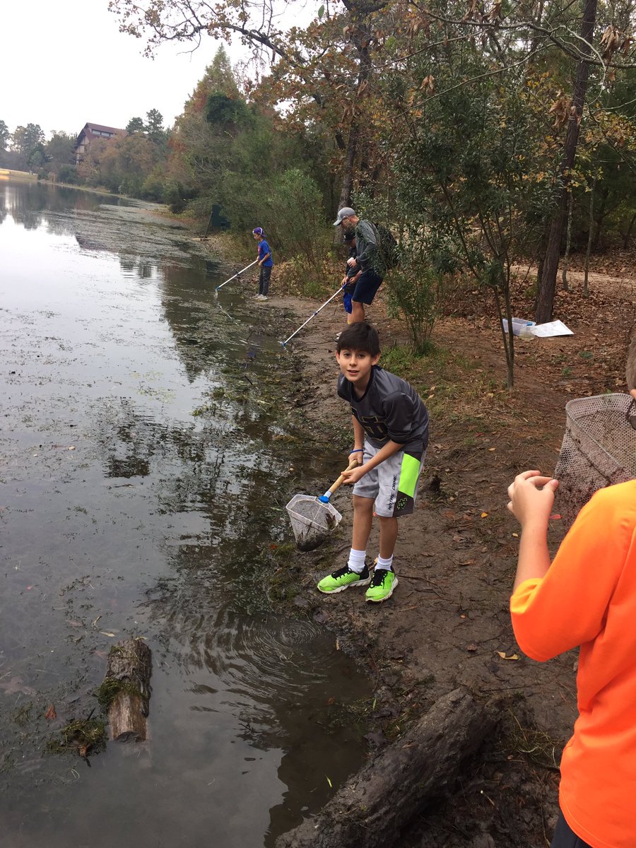 Aquatic "spy-entists"