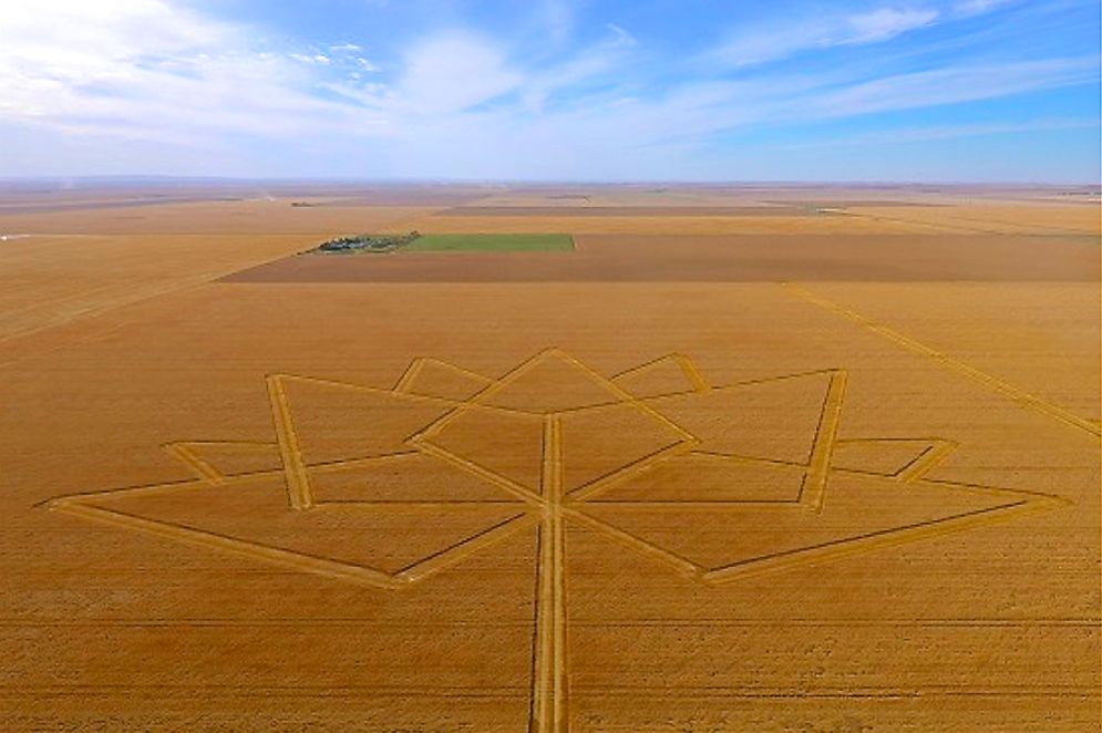ashleymr1993's tweet photo. After the year Canada had, durum production is vulnerable heading into next year #GW2017 #cdnag #westcdnag https://t.co/9kBEarL6Tr https://t.co/UB2zvjNIMv