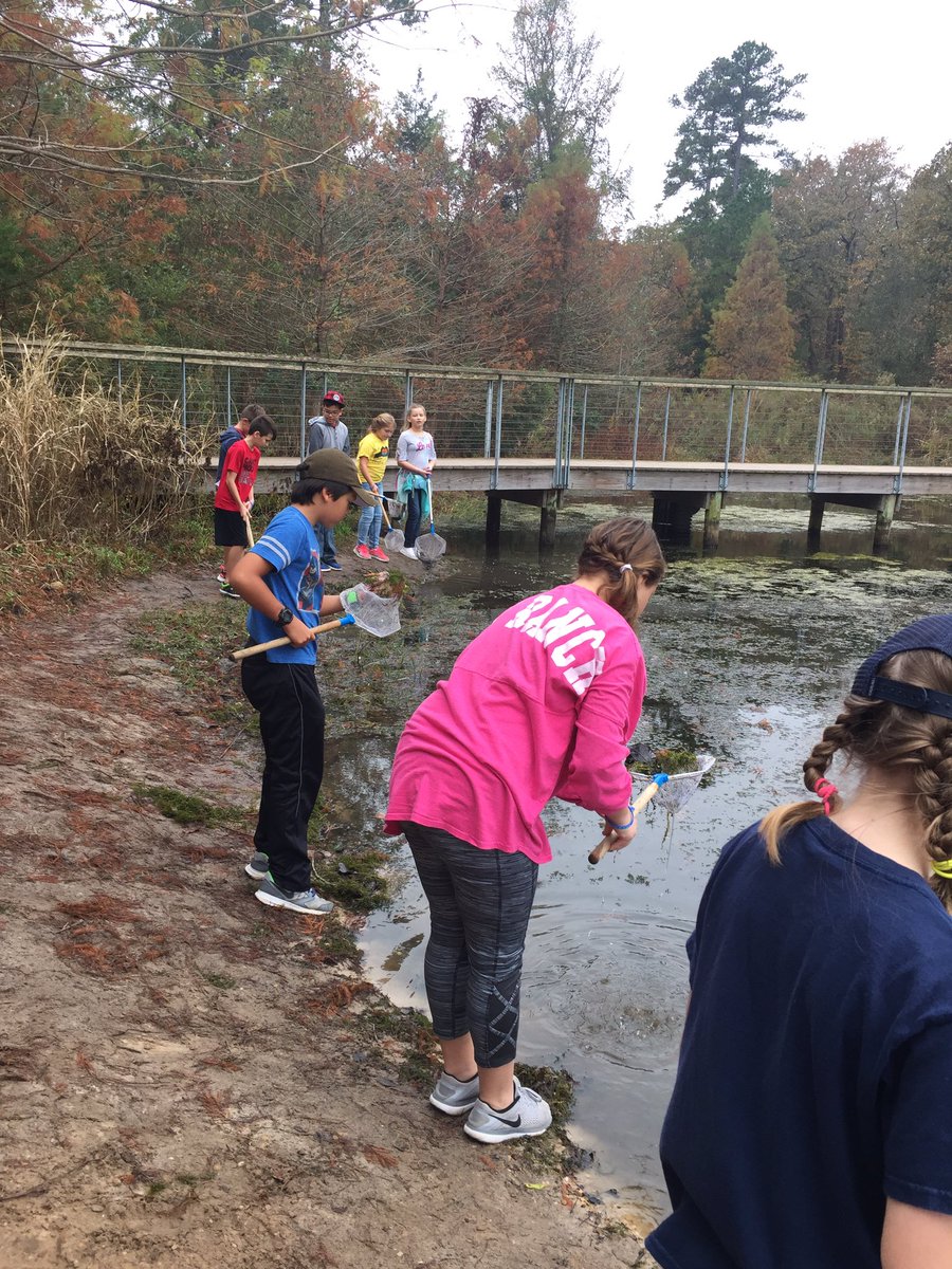 Aquatic Investigators #bearshine