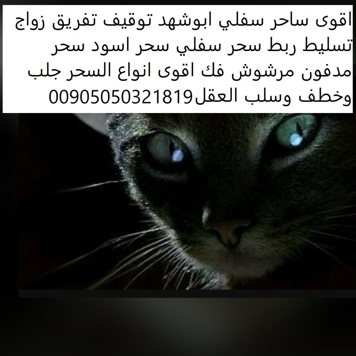 اقوى ساحر سفلي ابو شهد 
#جلب_الحبيب
#طلاق
#تفريق
#تهييج_جنسي
#طاعه
#تسليط
#ملاحظه_احذرو_السحره_المزيفين
whats00905050321819