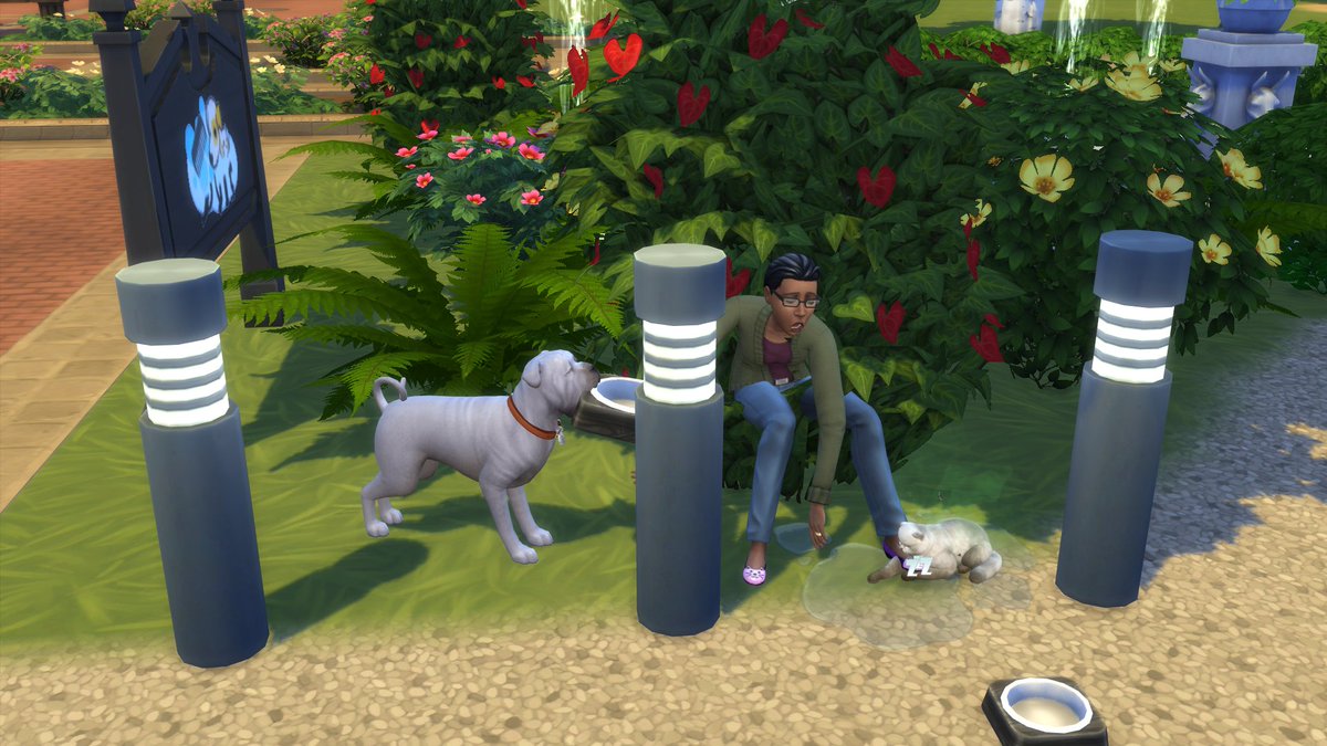 EmvySims's tweet image. I have no words for this pic. I'm dying right now. hahaha Btw new Vet clinic will be on my channel tomorrow #Sims4 #sims4catsanddogs #Sims4Paws @TheSims