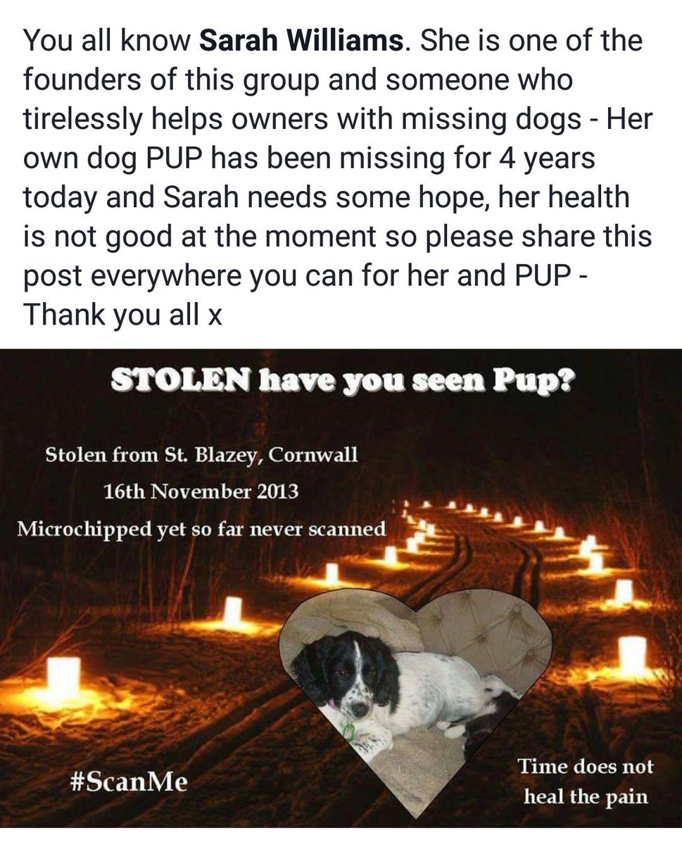 APPEAL for ANY info. STOLEN on 16/11/13
B&amp;W ESS girl Long Dock #Cornwall but could be anywhere in UK. Who has her? Please help <a href="/FindOurPup/">Sarah Williams</a>