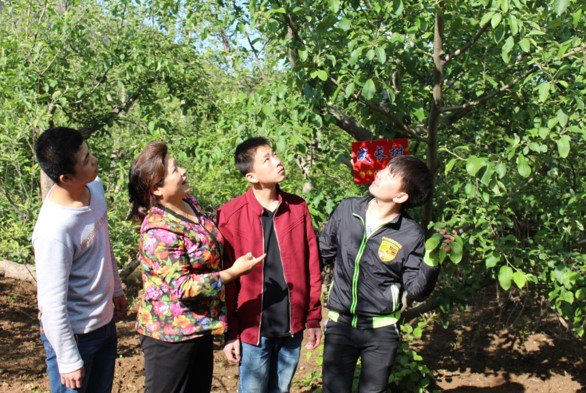 APFP-FO4A & ARISE Programs tweet media