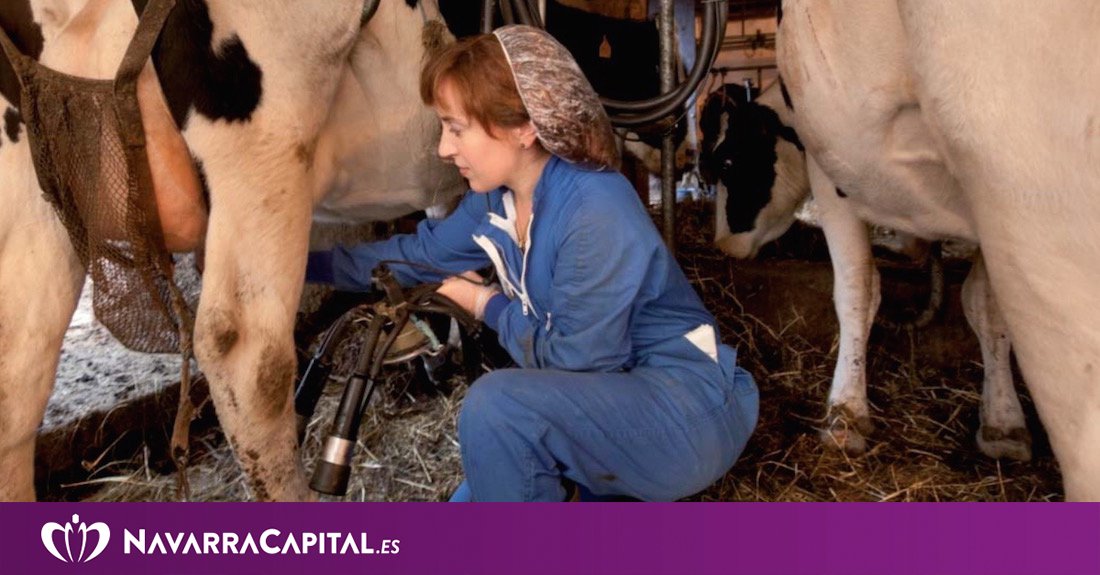 NavarraCapital's tweet photo. Riesgos psicosociales en el sector agroalimentario https://t.co/yLUvuiBDg6 #DesarrolloRural @UAGNavarra @CONSEBRO https://t.co/0H4BnIMVbi