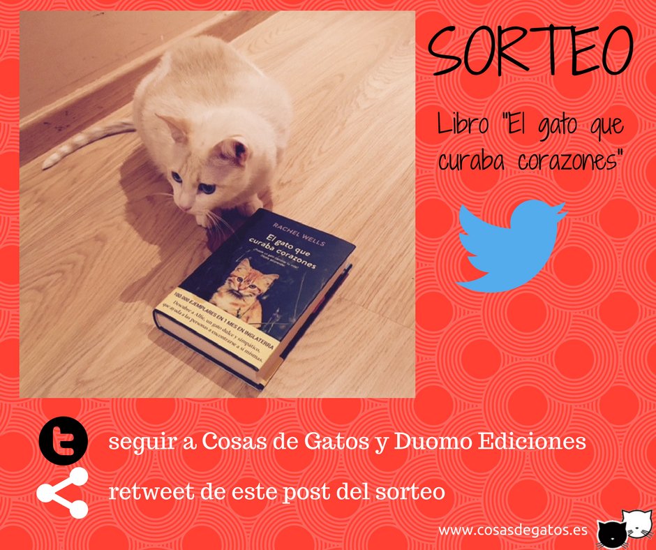CosasdeGatosweb's tweet photo. 📕🏆SORTEO "El gato que curaba corazones" 🏆📕
¿Quieres ganar un ejemplar del exitoso libro? 

✅ Hazte seguidor de Twitter de Cosas de Gatos (si no lo eras ya 😉)
✅ Hazte seguidor de @Duomo_ed
✅ RT de esta publicación

Participa hasta el 17/12 a las 23h. Válido en España https://t.co/PrVZzDt47f