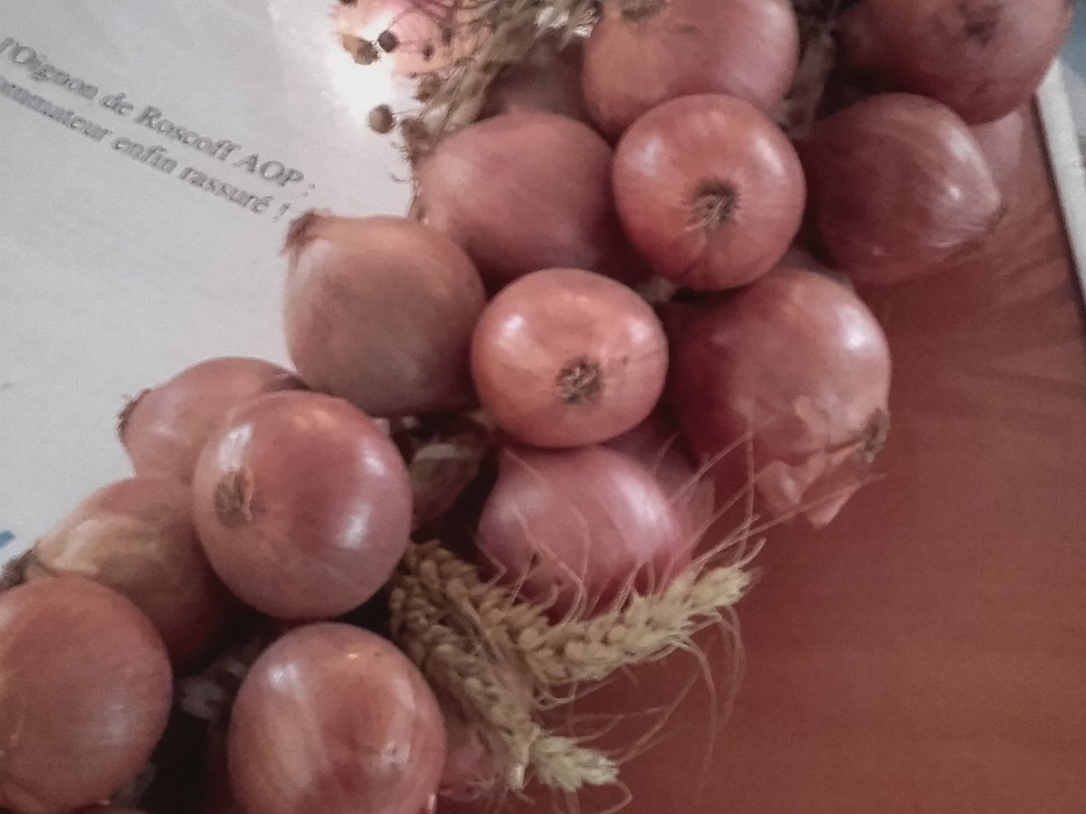 Accueil presse #patrimoine gastronomique - l'oignon de Roscoff aux qualités thérapeutiques, très digeste, facile à cuisiner, s'exporte !