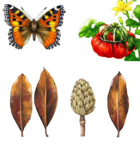 CUBGLearning's tweet photo. Love Plants? Our 2018 Courses programme celebrates plants from every angle. From biology to garden history, botanical art to taxonomy, basketry to printing, photography to mindfulness, See the new programme here. https://t.co/LWSFaDIpyt https://t.co/xS05kJjtXg