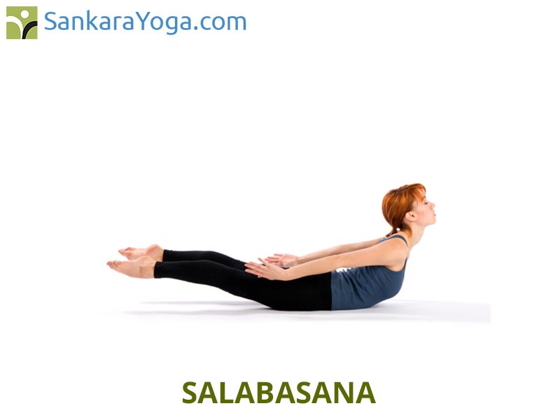 Locust Pose - Salabhasana – All you should know about the pose