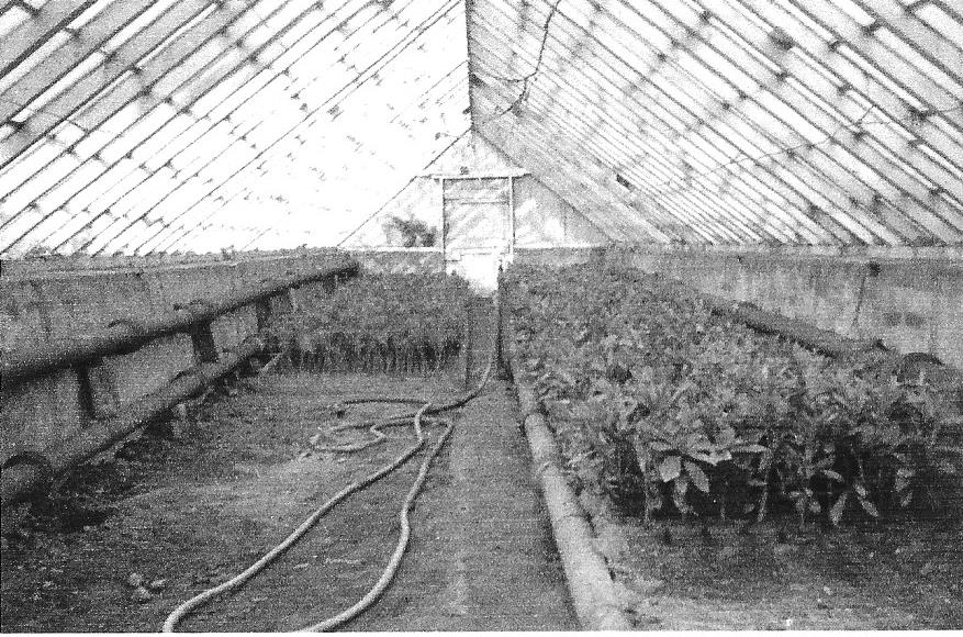 Boultons Nurseries tweet media