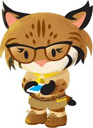 crhemingway's tweet photo. @JulieDJacobson @appexchange will #MeetAppy be about on #AppyAdventures today ? https://t.co/PwqLV3wAcU
