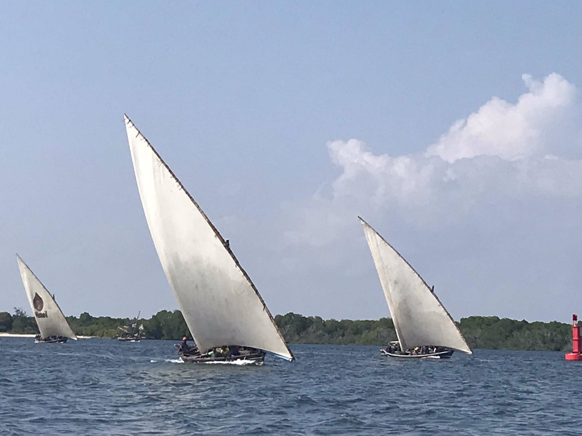 ForodhaniHouse's tweet photo. Lulu ya Shella is leading so far in front of Marlin in the Casa Dhow Race. All is still possible, good luck to All :-) #lamuculturalfestival #magicalkenya #africa #hoyee https://t.co/GATYRzVzkN