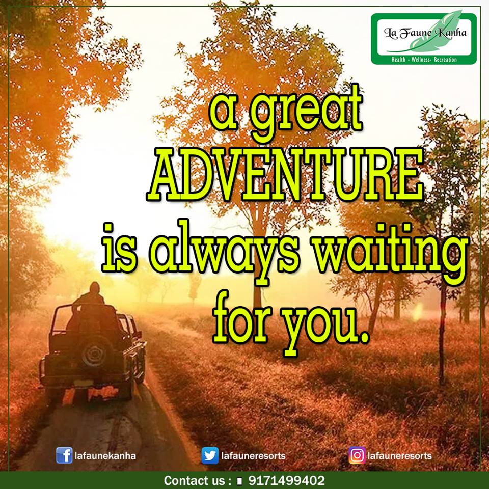 LafauneResorts's tweet photo. Up close with #nature
make a reservation
Call on: +91-9171499402 
or visit us at: https://t.co/7sLft2xZ1p
#Lafauneresorts #Relaxation https://t.co/1yiVYlkTmP