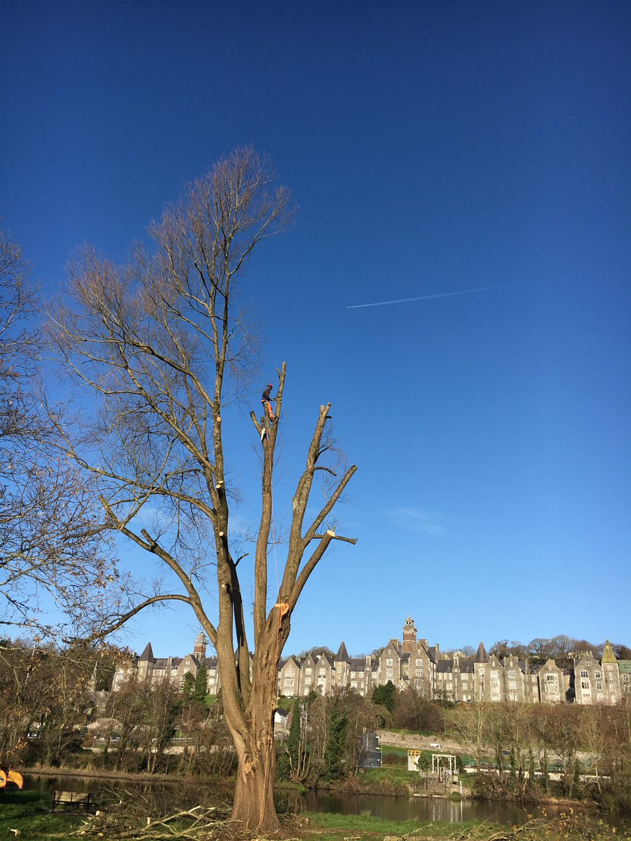 eithne's tweet photo. The Lee Fields this morning, as a jet passes by #GreatJob #scary #Cork #LeeFields #WinterSunshine https://t.co/Obt1NuC9qD