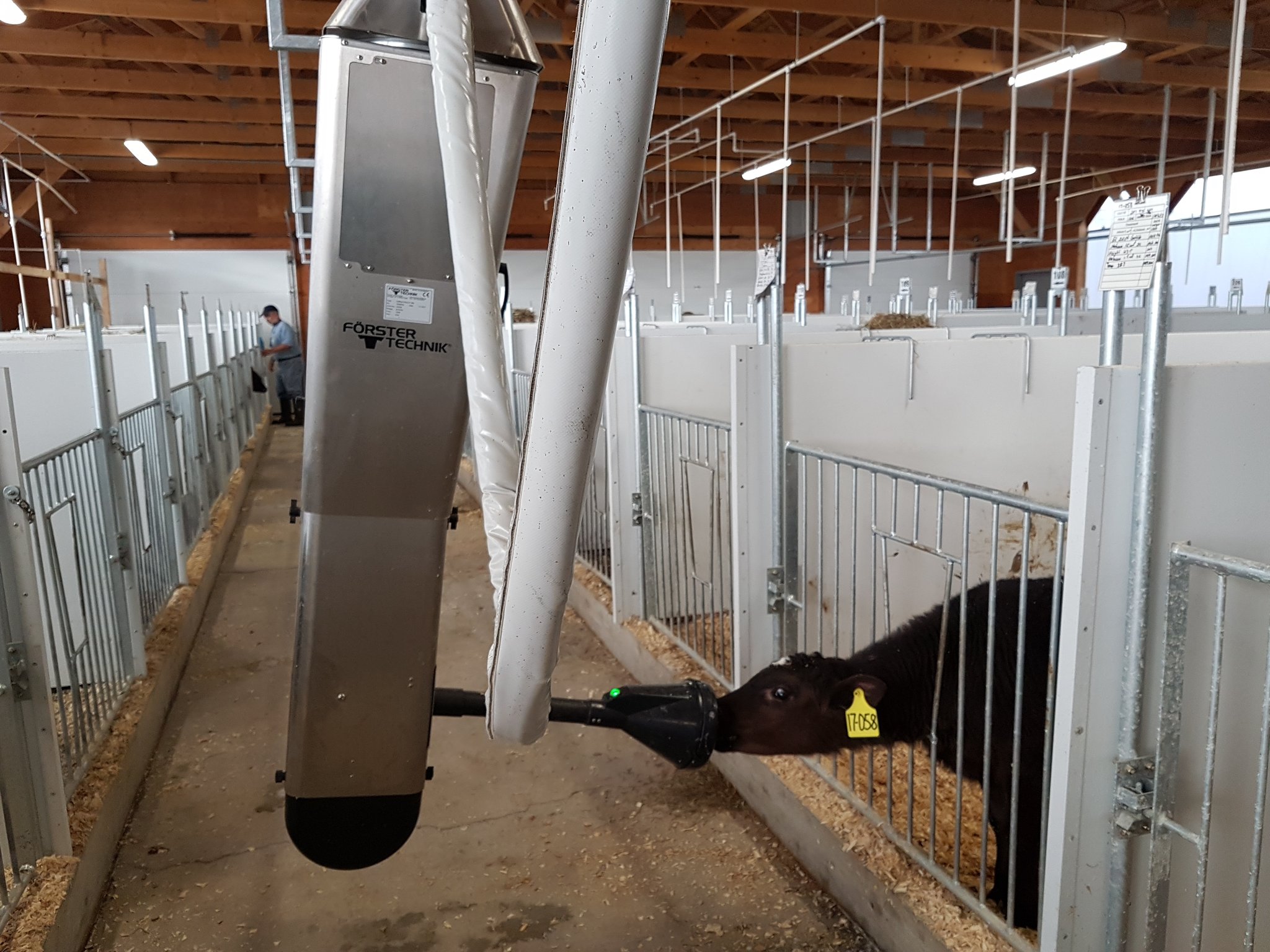 Jan Ziemerink On Twitter Foerster Technik Calf Rail In Action