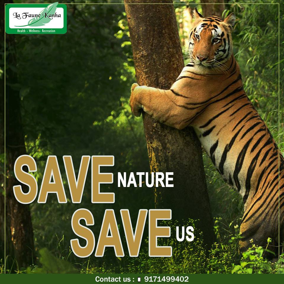 LafauneResorts's tweet photo. Up close with #nature
make a reservation
Call on: +91-9171499402 
or visit us at: https://t.co/7sLft2xZ1p
#Lafauneresorts #Relaxation https://t.co/x4Ue3nqbyp