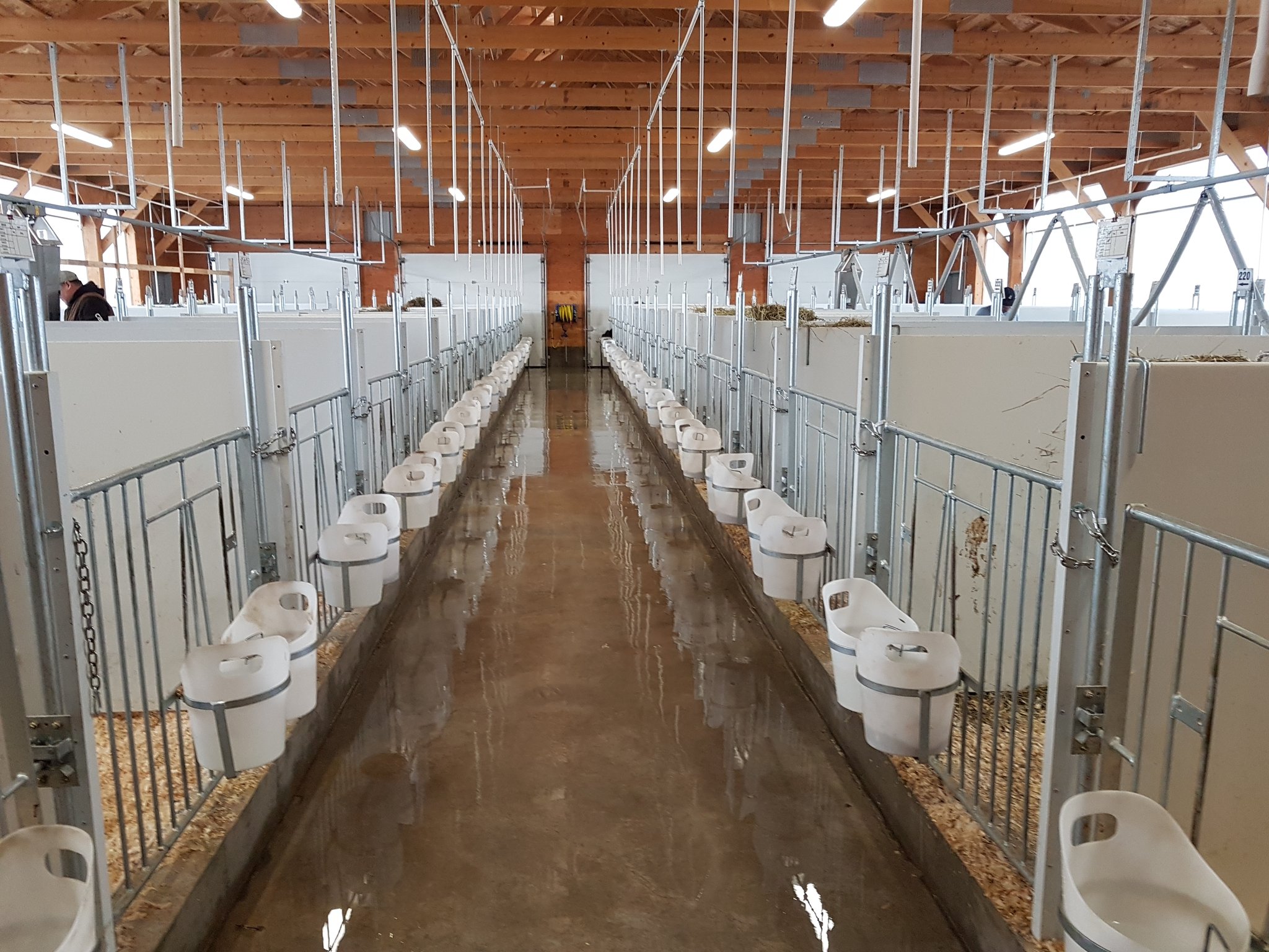 Jan Ziemerink On Twitter Foerster Technik Calf Rail In Action
