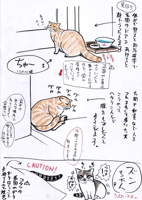 や、どうも。
おじいちゃんたちが留守するときは、シッターさんにずっと居てもらうよ。
前もって俺たちを覚えてもらうんだけど、ねんのため、もうしおくりっていうのもかいてるみたい。
出かけるまぎわに急いでかくから、絵が乱暴だよ。
これは3年前のやつ。
俺の絵、ちょっとひどいと思わない? 