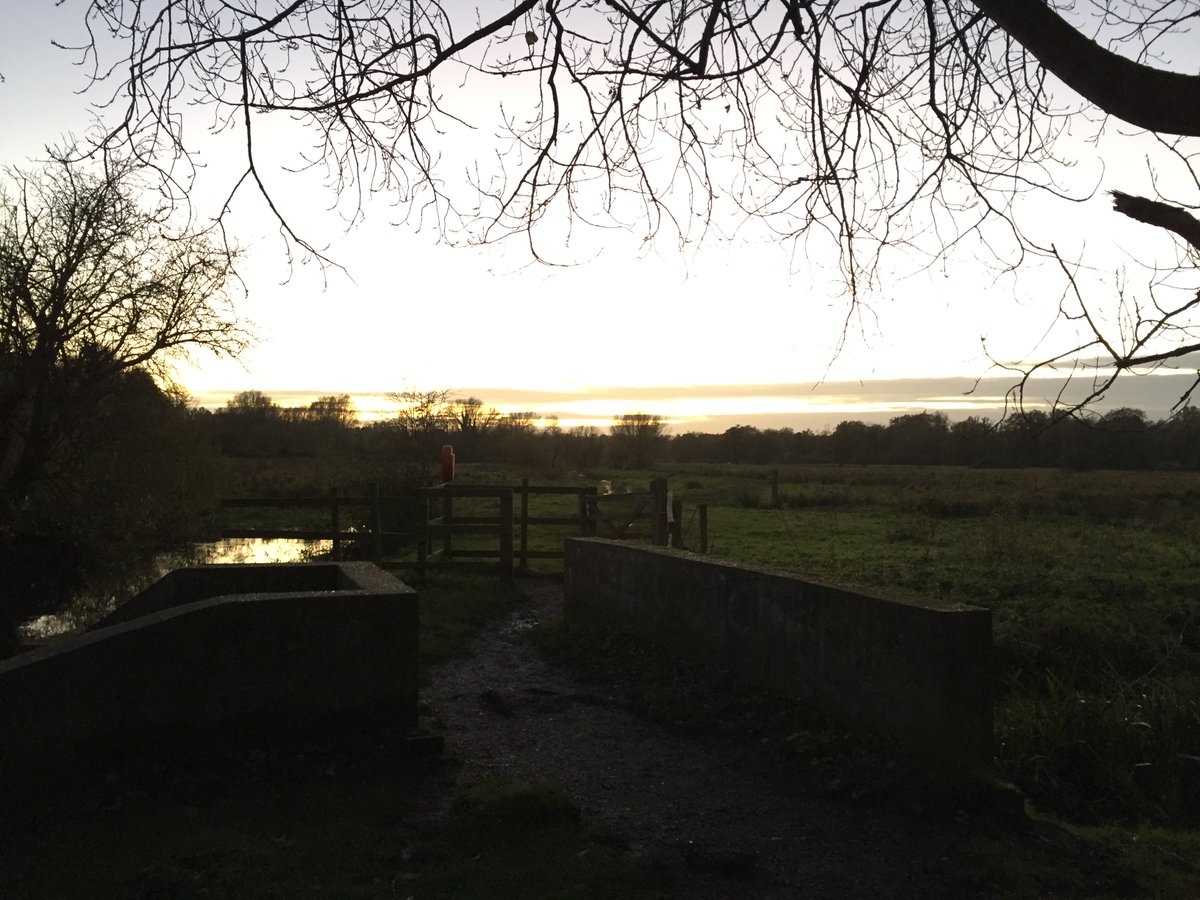 jac_doe_'s tweet photo. @ActiveNorfolk 
More chilly #workplacechallenge walks with the little #beagle 🐶👍 https://t.co/Qx8iVViERY