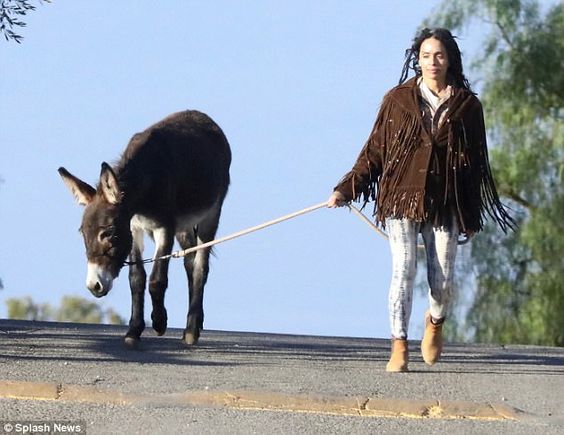 Happy birthday to Lisa Bonet, pictured here serenely walking her pet dog.     
