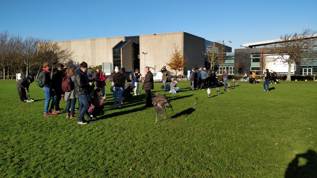 ConnsCameras's tweet photo. It's great to get out of the office when the skies are blue, and what better excuse than a @UCDBioSoc "field trip" with @CanonIreland & the National Birds of Prey Centre from @Russborough House in Wicklow!
#BirdsOfPrey #UCD #BIOsoc @VisitDublin @VisitWicklow https://t.co/1Pfj21ZwN6