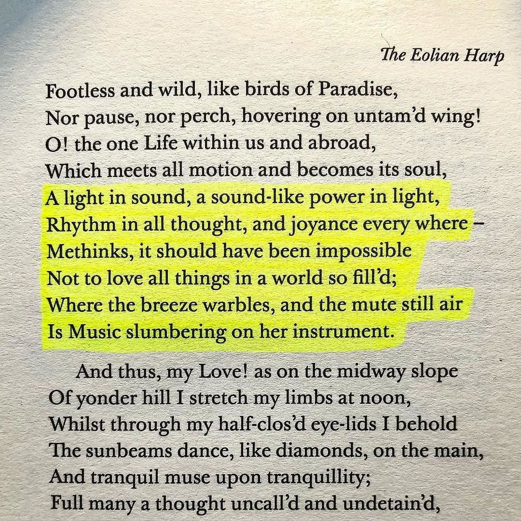 Natham Kirkham tweet media