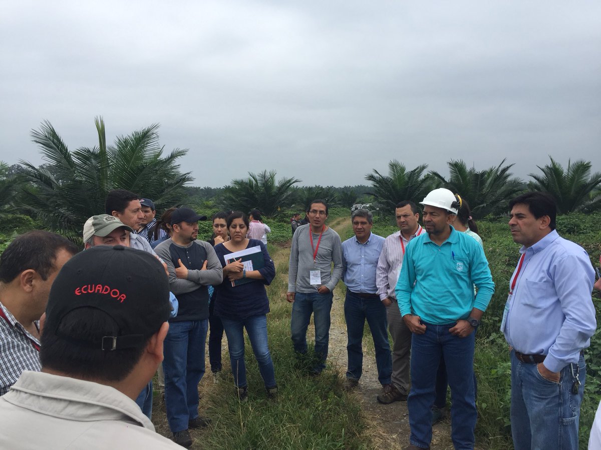 FEDAPAL's tweet image. Se cumplió con éxito el simulacro de auditoría dentro del Curso #AuditorLider #RSPO @FEDAPAL @aexpalmaec @RSPOtweets @proforest @darrelwebb @diefraesya @ANCUPAEC @AgriculturaEc @INIAPECUADOR