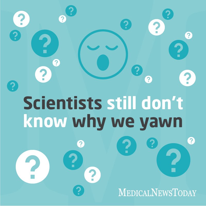 mnt's tweet photo. More contagious than chickenpox... 

Still curious? https://t.co/v3SLEm0UdJ #yawn #curious #mystery https://t.co/gLhso9PRsH