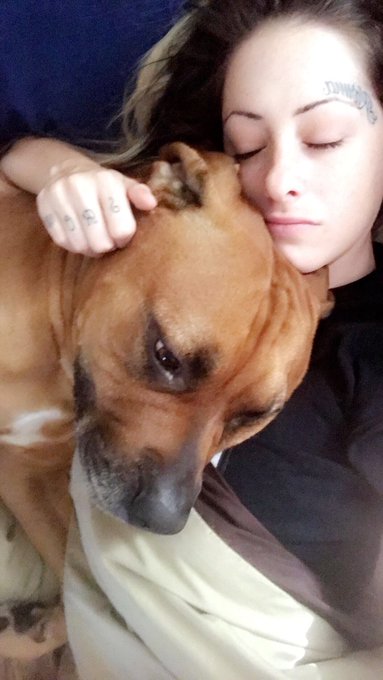 I literally love that he wakes me up with cuddles https://t.co/msPPRxXjWW<a href="/tag/currentmood"class="tags"><span>#currentmood</span></a>