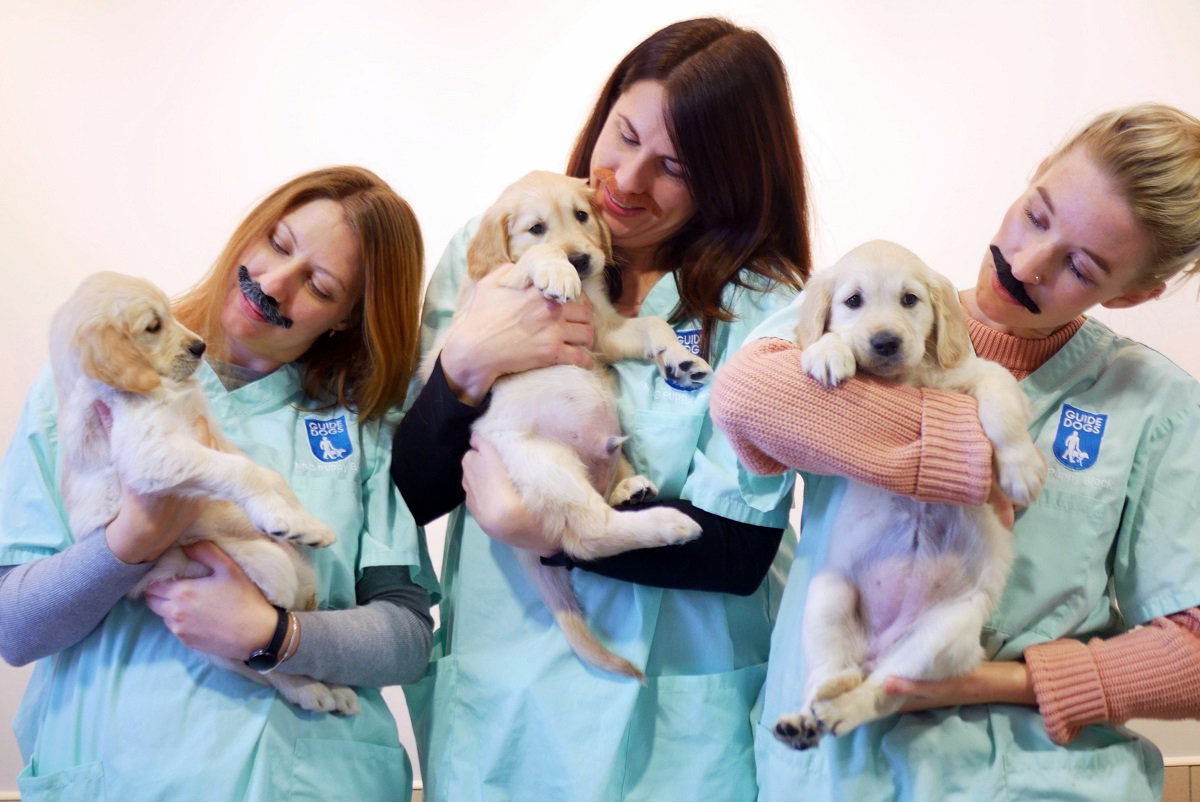 Three female Guide Dogs supporters with fake moustaches holding guide dog puppies