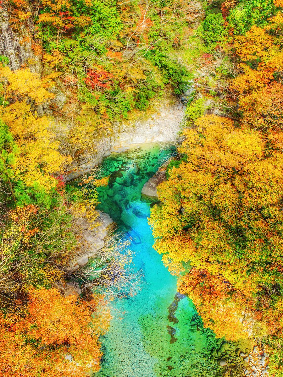 Skypione 日曜日の付知峡の様子です 若干遅い感じでしたが とても綺麗でした 付知峡 岐阜 岐阜県 紅葉 渓谷 中津川 中津川市