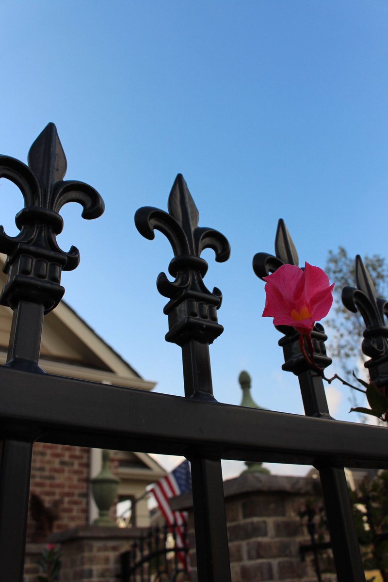 OldMillIron's tweet photo. Is there a better garden accent than a beautiful iron fence? #customironwork https://t.co/8tXzjvHd3h