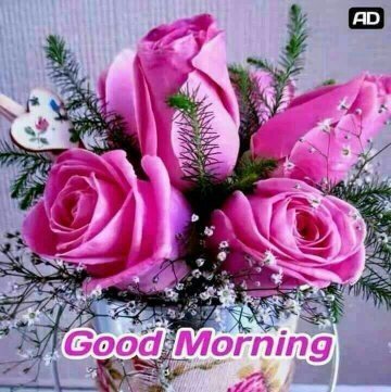 Samir33693337's tweet photo. @Neelam27220671  https://t.co/4XZUmm7J8I