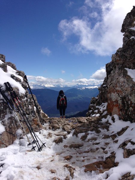 OHIO Modern Languages tweet media