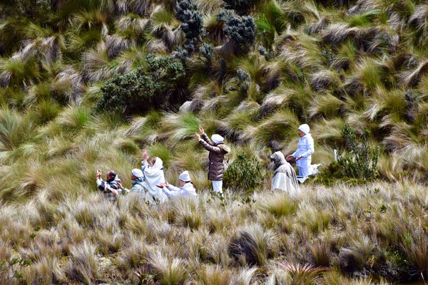 OHIO Modern Languages tweet media