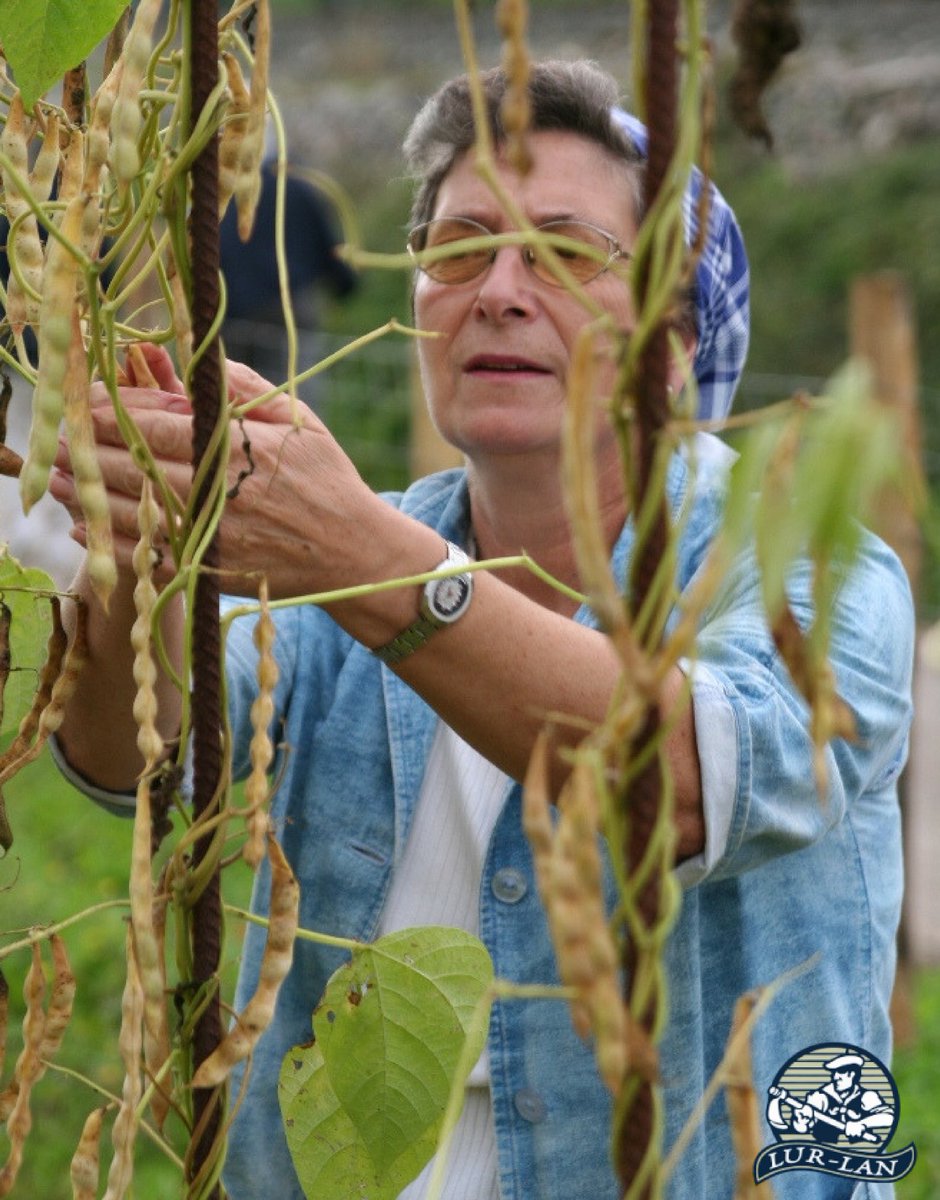 Aperitibo eta bazkari musikatua #TolosakoBabarruna ren festan lurlanbistrot.eus/aperitibo-eta-… <a href="/LurLanSarean/">Lur-Lan</a> <a href="/WomanSarea/">WomanSarea</a>