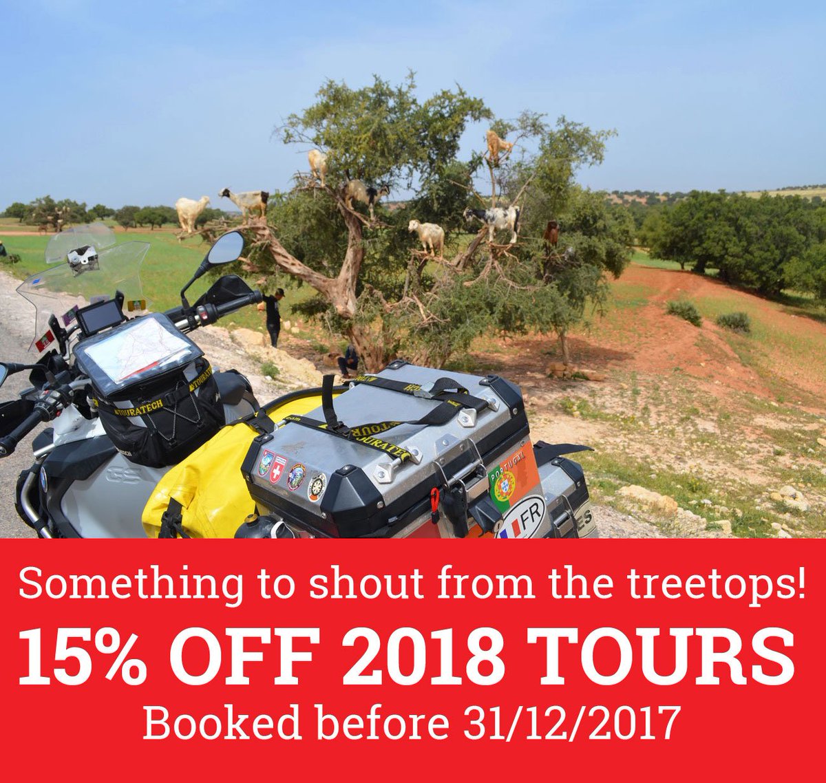 2wheelmorocco's tweet photo. Here's something to shout from the treetops!
15% OFF 2018 TOURS 
Booked before 31/12/2017
https://t.co/oUjpsUmgu3 #makelifearide https://t.co/t9IDDv0zgK