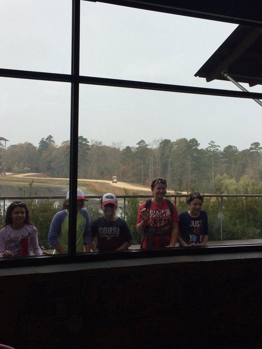 Let us in! #bearshine